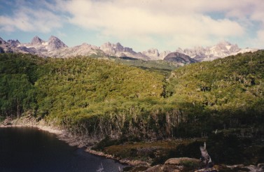 ©1997 Isla Navarino, Chilean Patagonia